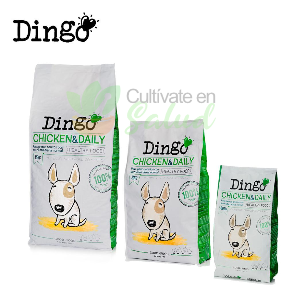 DINGO CHICKEN