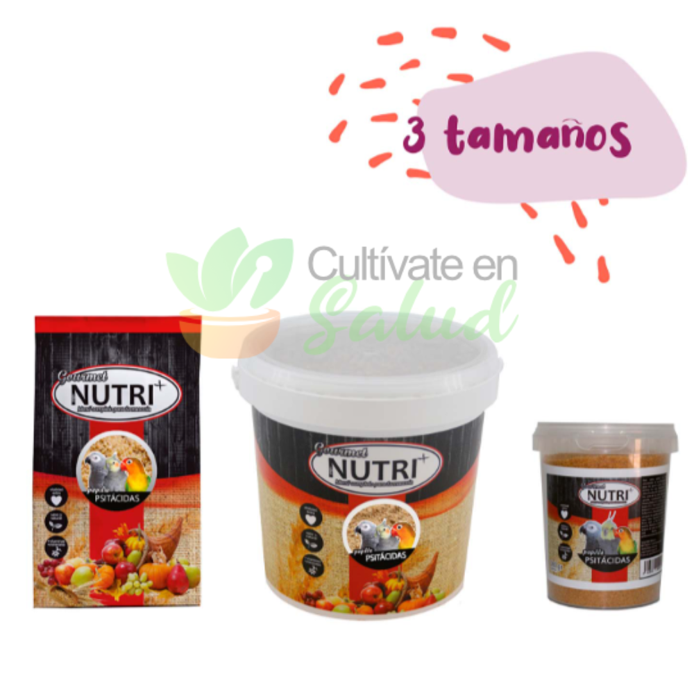 Diseño sin título - 2024-04-04T223219.732 GOURMET PAPILLA PSITACIDAS