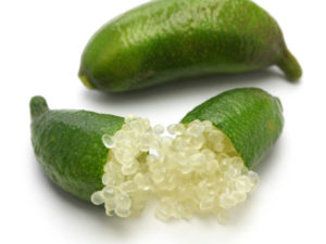 Microcitrus australasica (Caviar Cítrico) verde