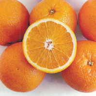 Naranjo Valencia Delta Seedless