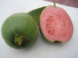 guayaba-rosa