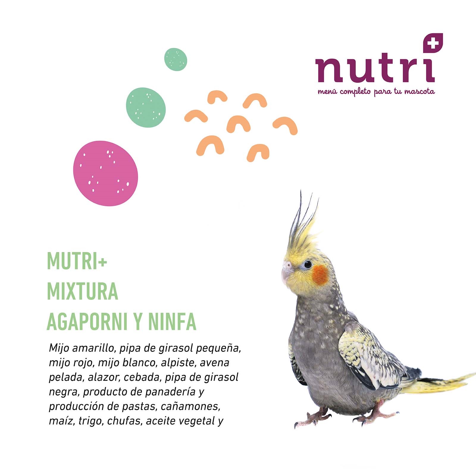 ninfa1